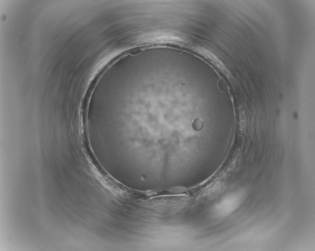 X0000075831031200609291417