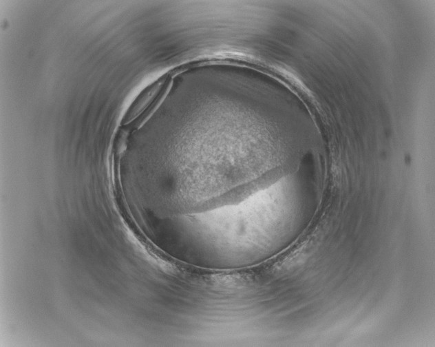 X0000075831032200609291417