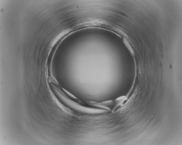 X0000075831034200609291417