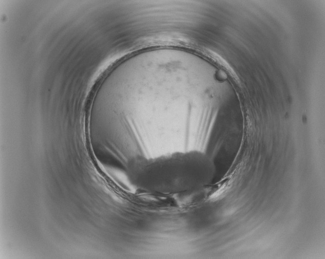 X0000075831035200609291417