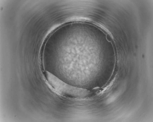 X0000075831037200609291417