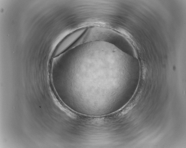 X0000075831038200609291417