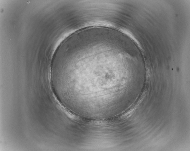 X0000075831040200609291417