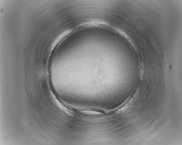 X0000075831042200609291417