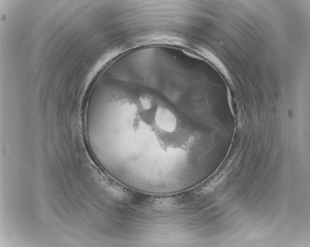 X0000075831043200609291417