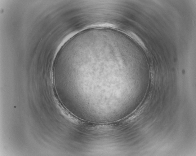 X0000075831044200609291417