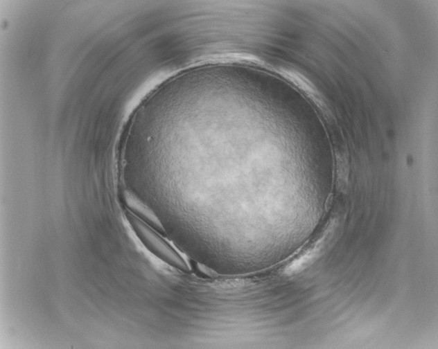 X0000075831046200609291417