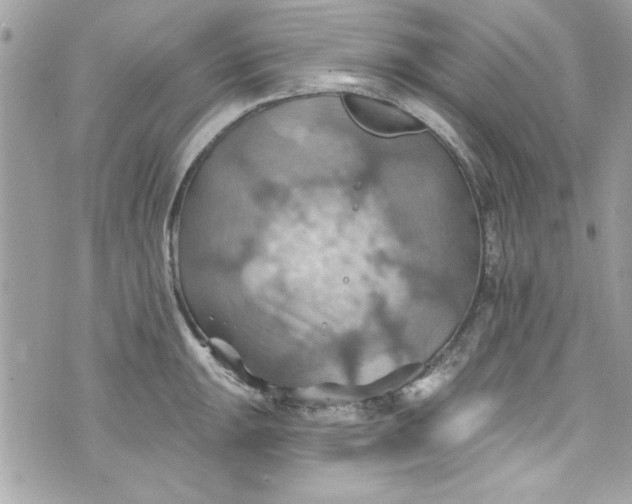 X0000075831047200609291417