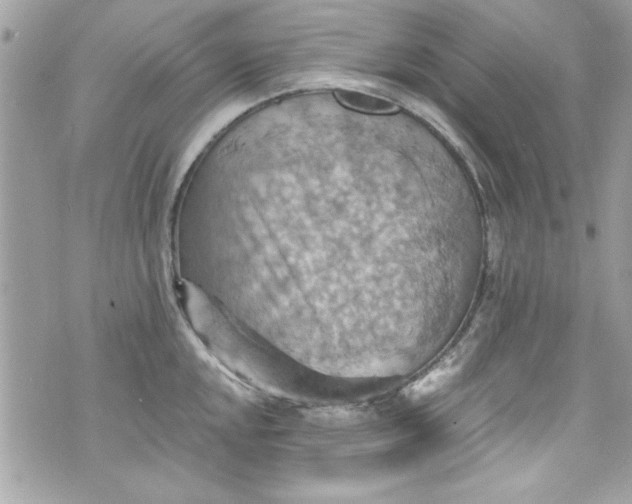 X0000075831048200609291417