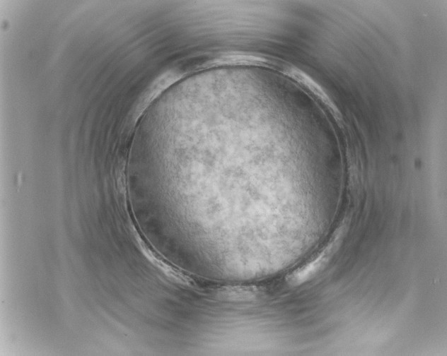 X0000075831049200609291417