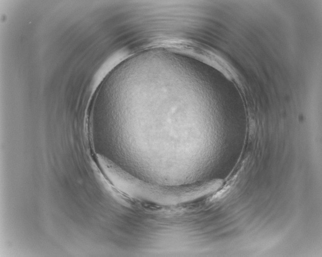 X0000075831050200609291417