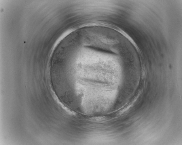 X0000075831053200609291417