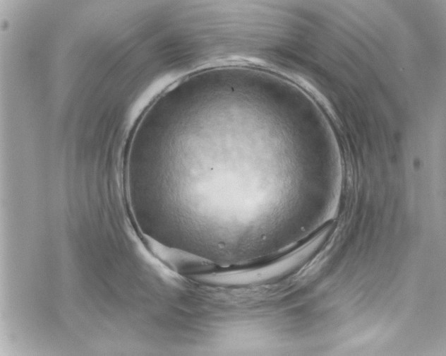 X0000075831054200609291417