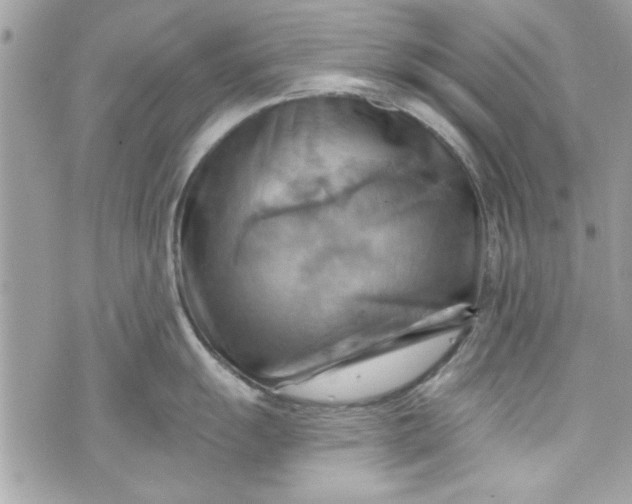 X0000075831055200609291417