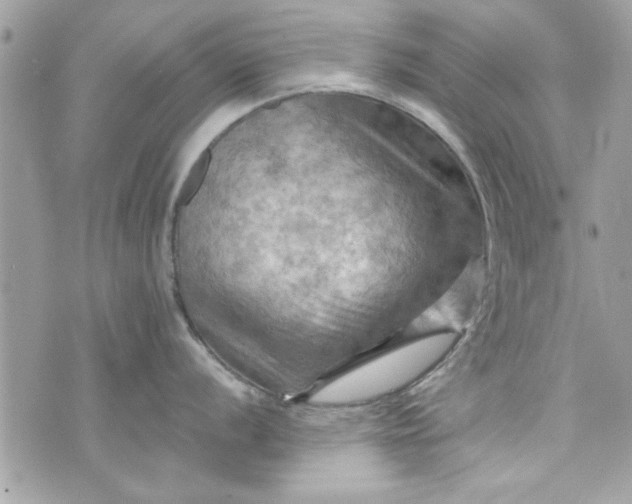 X0000075831056200609291417