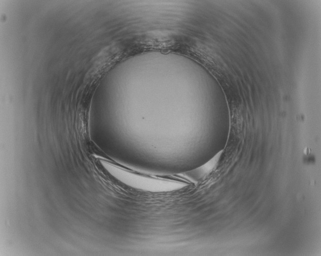 X0000075831058200609291416