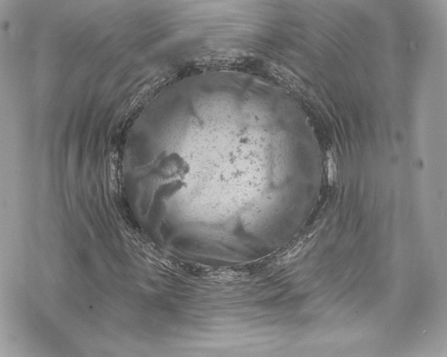 X0000075831059200609291416