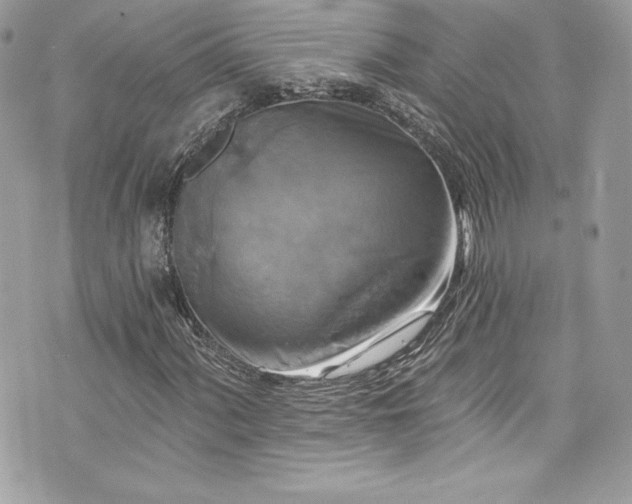 X0000075831060200609291416