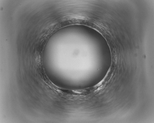 X0000075831061200609291416