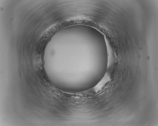 X0000075831062200609291416