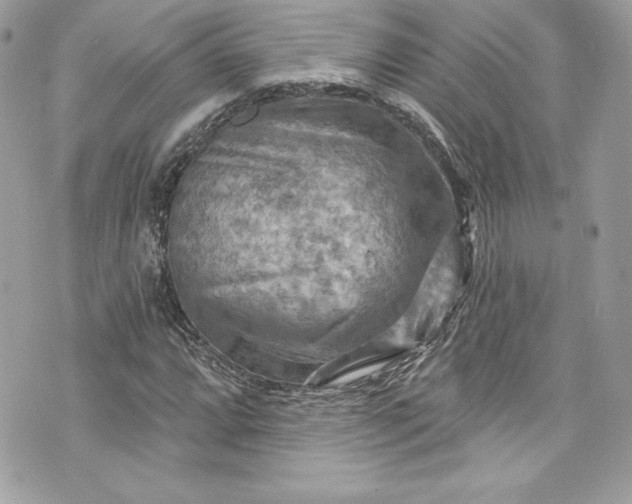 X0000075831064200609291416