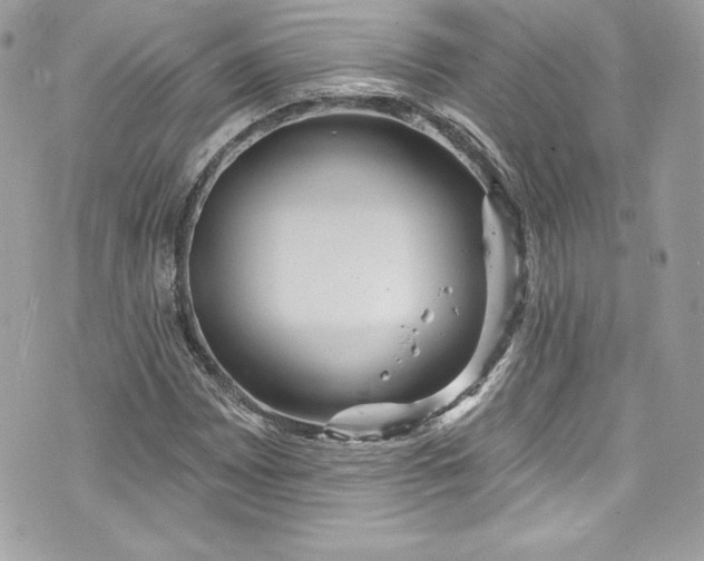 X0000075831065200609291416