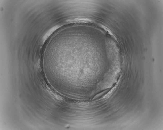 X0000075831066200609291416