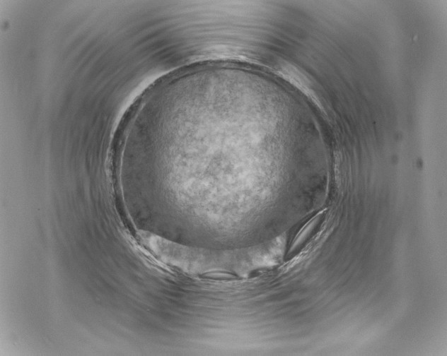 X0000075831068200609291416