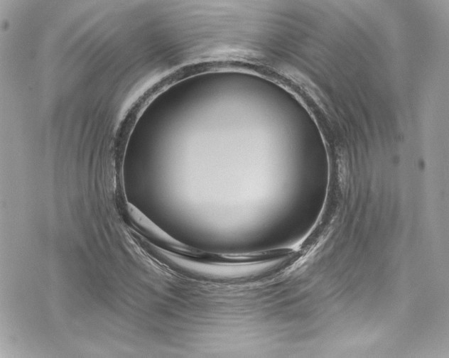 X0000075831069200609291416