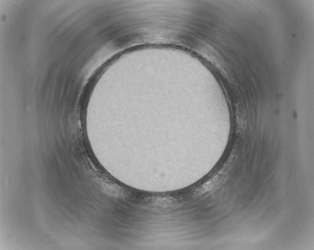 X0000075831070200609291416