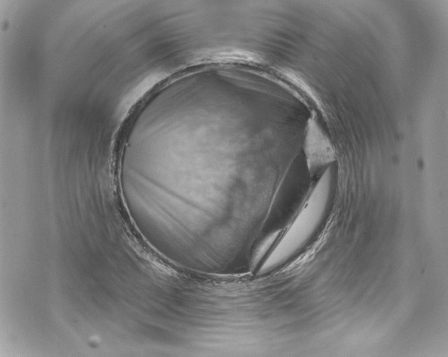 X0000075831071200609291416