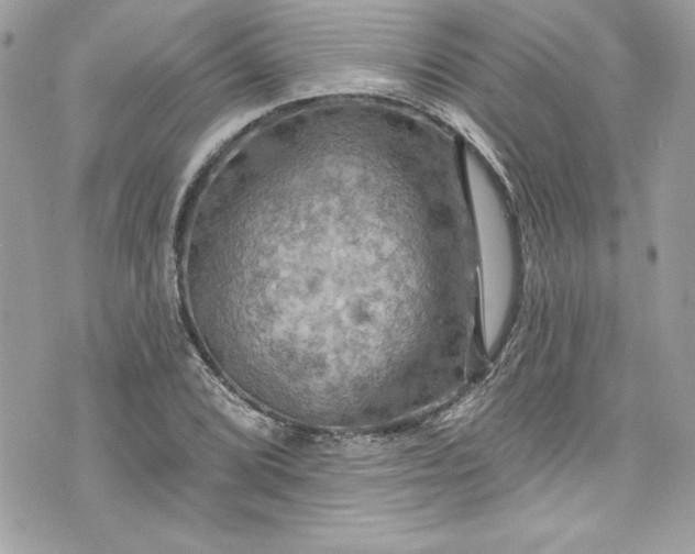 X0000075831072200609291416