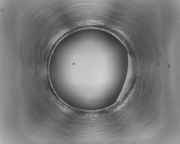 X0000075831073200609291416