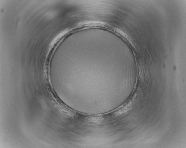 X0000075831074200609291416