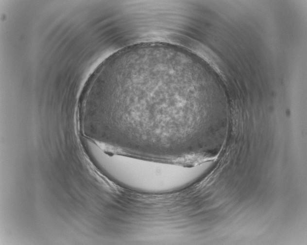 X0000075831076200609291416