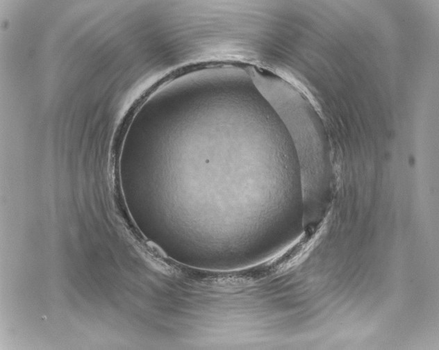 X0000075831077200609291416