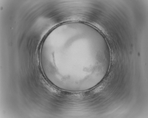 X0000075831078200609291416