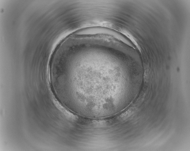 X0000075831080200609291416