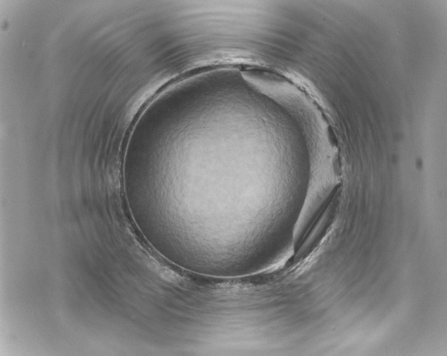 X0000075831081200609291416