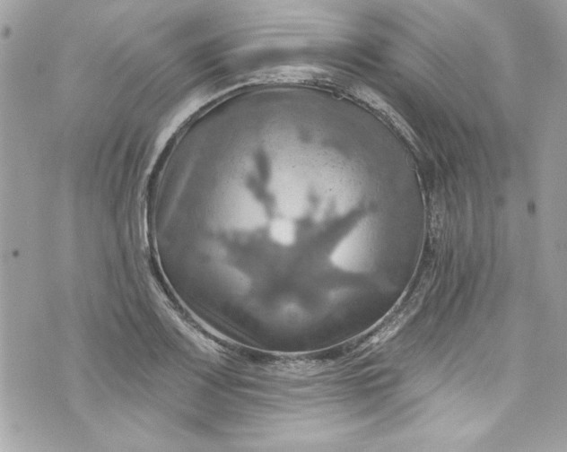 X0000075831083200609291416