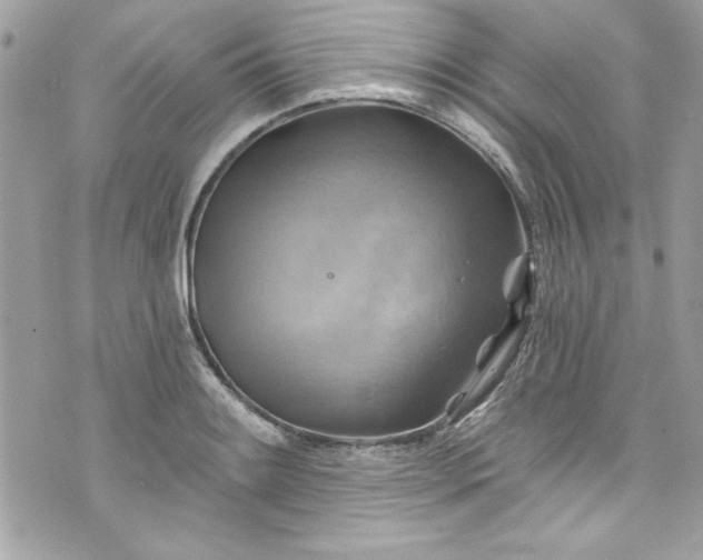 X0000075831084200609291416