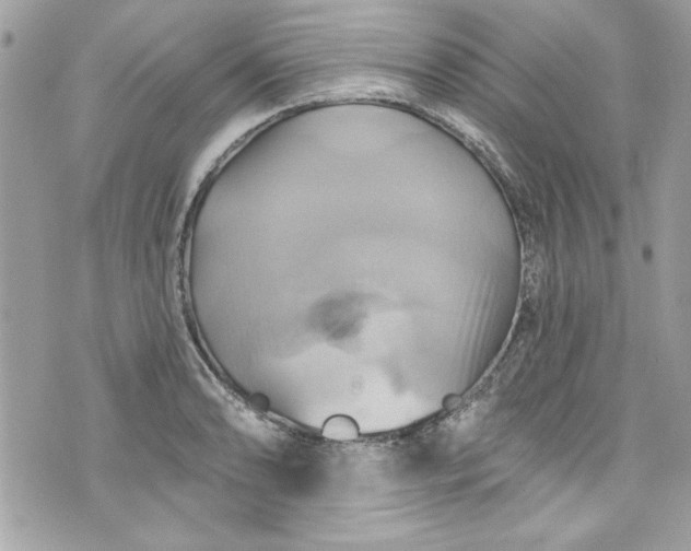 X0000075831086200609291416