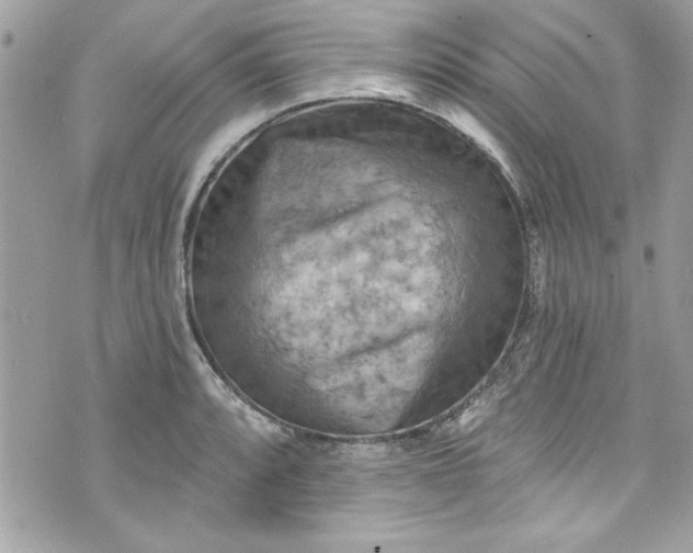 X0000075831088200609291416