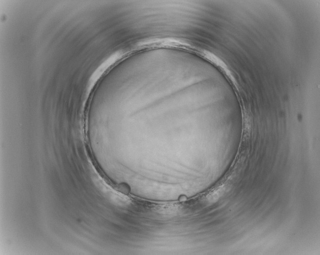 X0000075831090200609291416