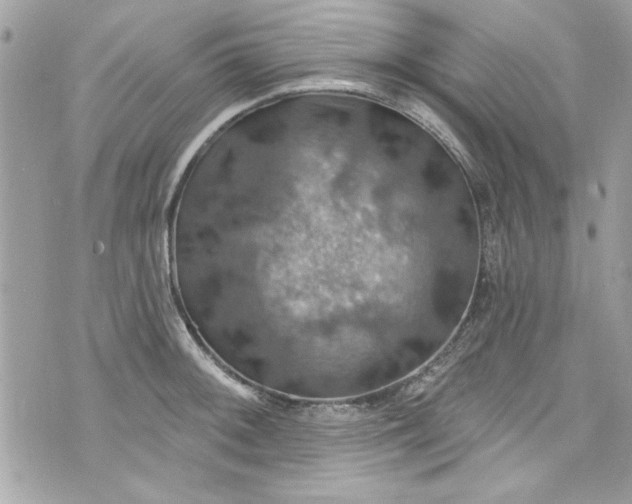 X0000075831092200609291416