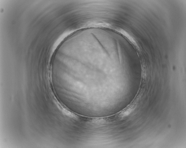 X0000075831094200609291416