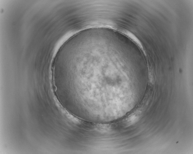 X0000075831096200609291416