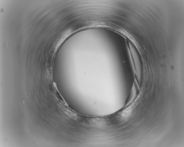 X0000075831097200609291416