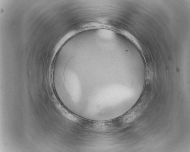 X0000075831098200609291416