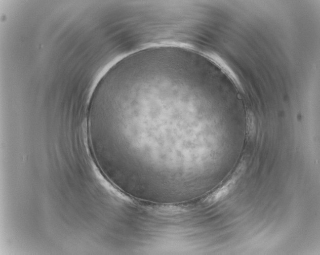 X0000075831100200609291415